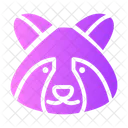 Raccoon Animal Face Icon