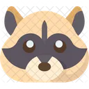 Raccoon  Icon