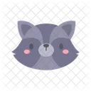 Raccoon  Icon