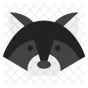 Raccoon Icon