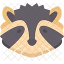 Raccoon Head Fauna Icon