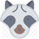 Raccoon Mammal Animal Icon