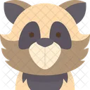 Raccoon Face  Icon