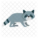 Raccoon Animal Wildlife Icon