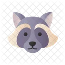 Raccoon  Icon