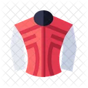 Race suit  Icon