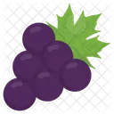 Beautyberry Americana Frutas Icono