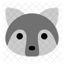 Racoon Head  Icon