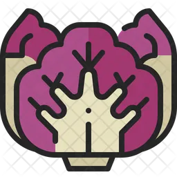 Radicchio  Icon