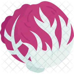 Radicchio  Icon