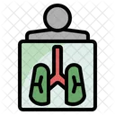 Rayos X Medico Hospital Icono