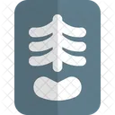 Radiografia Icono
