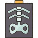 Radiografía  Icono