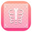 X Ray Hopital Clinique Icône