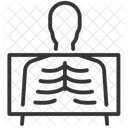 Radiographie Scan Scan Corporel Icône