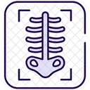 Radiographie Medical Hopital Icône