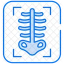 Radiographie Medical Hopital Icône