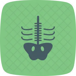 Radiographie  Icon