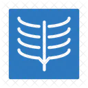 Xray Rapport Medical Icône