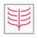 Xray Rapport Medical Icône
