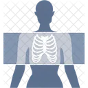 X Ray Medical Soins De Sante Icône