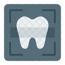 Radiographie Dentaire Icon