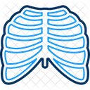 Radiologie Rayons X Rayons Icône