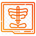 Radiology Icon