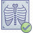 Chest Ribs Xray Icon