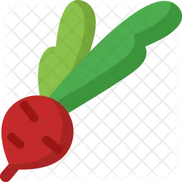 Radish  Icon