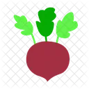 Radish Beetroot Beet Icon