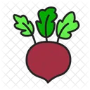 Radish Beetroot Beet Icon