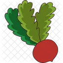 Radish Vegetable Organic Icon
