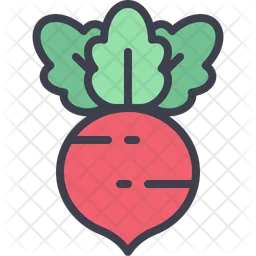 Radish  Icon