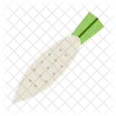 Radish Vegetable Food Icon