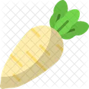 Radish Vegetable Veggie Icon