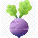 Radish Vegetable Food Icon
