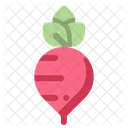 Radish Food Vegetable Icon
