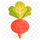 Radish Root Vegetable Icon