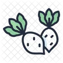 Radish Vegetable Healthy Icon