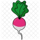 Radish Salad Vegetable Icon