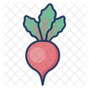 Radish Turnip Vegetable Icon