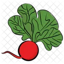 Radish Vegetable Natural Diet Icon
