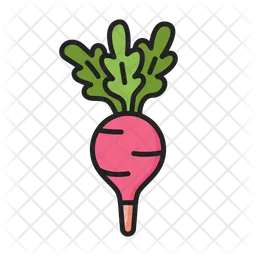 Radish  Icon