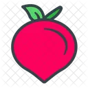 Radish  Icon