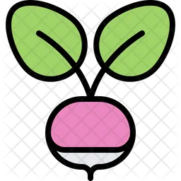 Radish  Icon