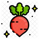 Radish Beetroot Root Icon