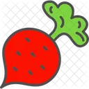 Radish Food Turnip Icon