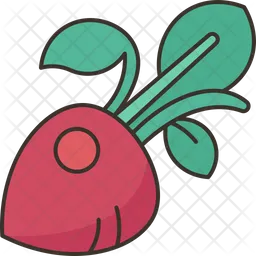 Radish  Icon