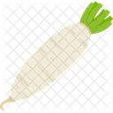 Radish Carrot Diet Icon
